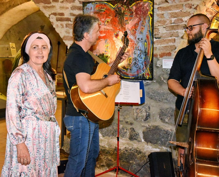 Ausstellung Janz Franz Burg Hohenwerfen