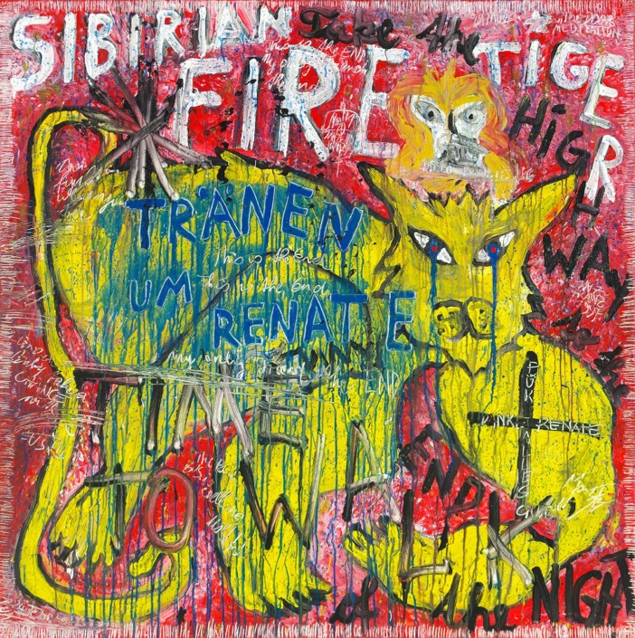 Janz Franz Tierbilder Pferde